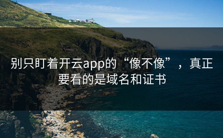 别只盯着开云app的“像不像”，真正要看的是域名和证书