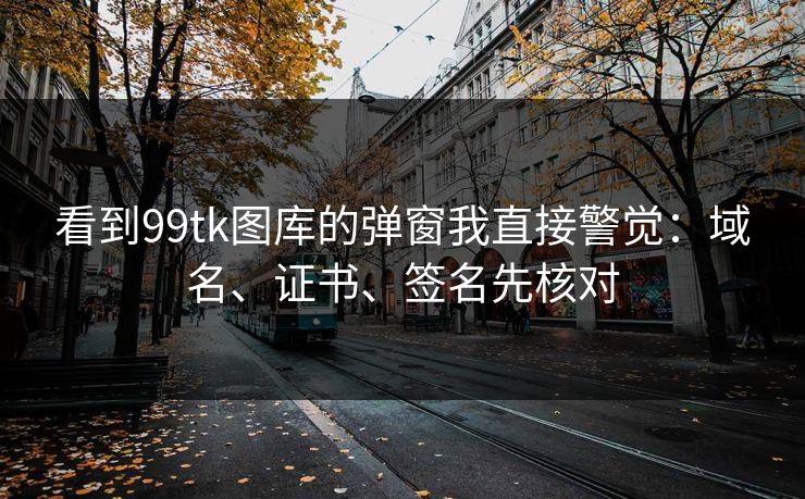 看到99tk图库的弹窗我直接警觉:域名、证书、签名先核对 看到99tk图库的弹窗我直接警觉:域名、证书、签名先核对